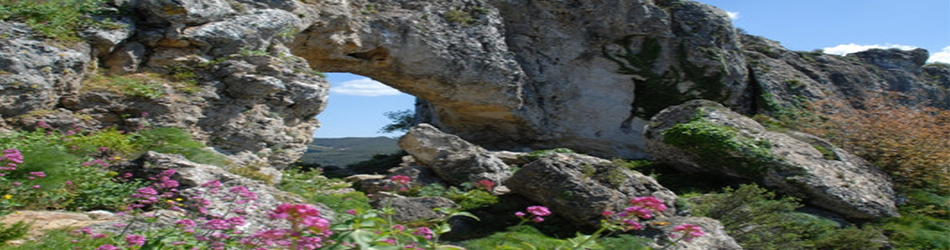 Alquiler vacacional Altea Hills 1 holiday rental Altea Hills