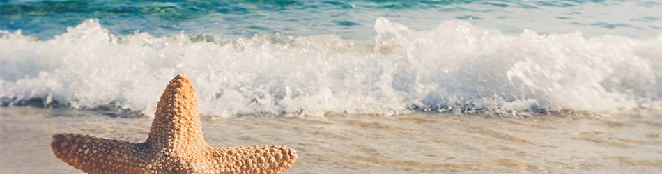 Luxury villas to rent Costa Blanca 1 Luxury villas to rent Costa Blanca